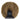 Tasmanian Tweed Fb. 33