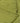 Nahaufnahme von Sandnes Garn Mandarin Petit 9564 Matcha