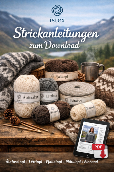Einzelanleitungen Istex Download