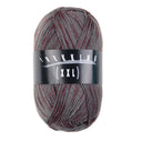 Trekking XXL 4-fach Color Fb. 764