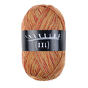 Trekking XXL 4-fach Color Fb. 765
