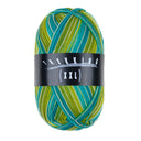 Trekking XXL 4-fach Color Fb. 833