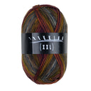 Trekking XXL 4-fach Color Fb. 834