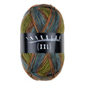 Trekking XXL 4-fach Color Fb. 835