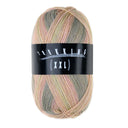 Trekking XXL 4-fach Color Fb. 836