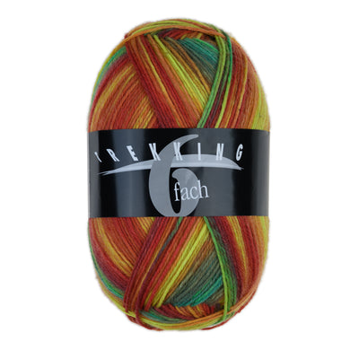 Trekking XXL 6-fach Color