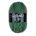 Trekking 6-fach Color Fb. 2007